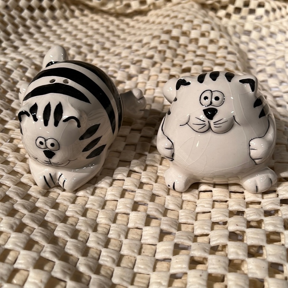 Pier1 Cat salt and pepper shakers in great condition